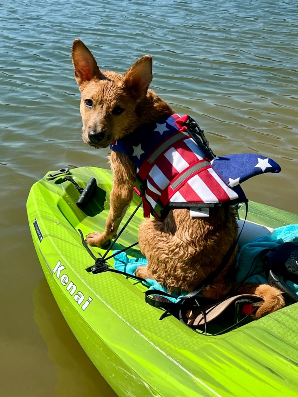 Patriotic American Flag Dog Life Jacket - Red, White & Blue Small